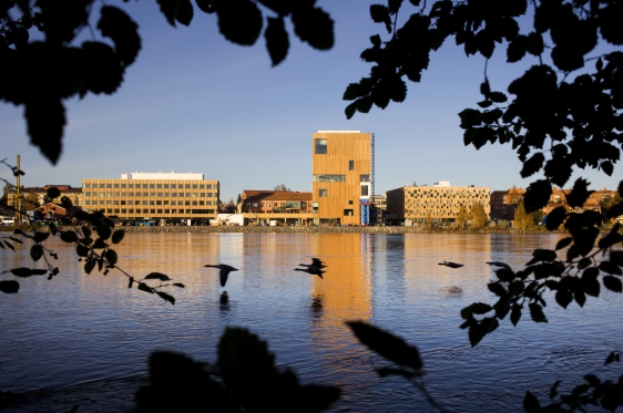 Konstnärligt Campus. En del av Umeå Universitet med från vänster: Konsthögskolan, Bildmuseet och Arkitekthögskolan. Friköpt för Umeå universitet t.o.m. 2014-11-06